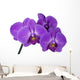 branch orchid Wall Decal