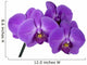 branch orchid Wall Decal