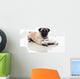Pug and Sandals Wall Decal