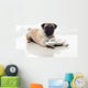 pug and sandals Wall Decal