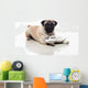 pug and sandals Wall Decal