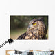 Owl Wall Mural