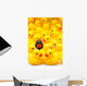 Rubber Ducks