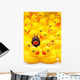 Rubber Ducks