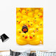 Rubber Ducks