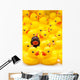 Rubber Ducks