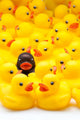 Rubber Ducks