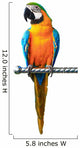Colorful Red Parrot Macaw