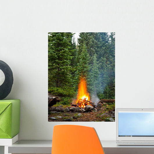 Campfire Wilderness Campsite