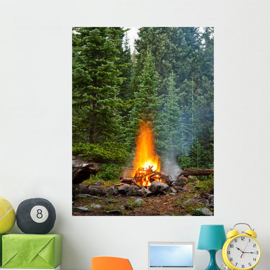 Campfire Wilderness Campsite