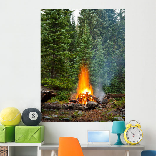 Campfire Wilderness Campsite