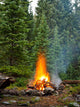 Campfire Wilderness Campsite