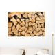 Pile of Wood Logs Ready for Winter Wall Mural