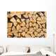 Pile of Wood Logs Ready for Winter Wall Mural