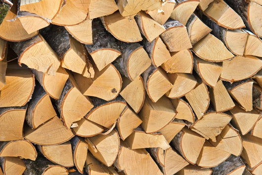 Pile of Wood Logs Ready for Winter Wall Mural