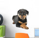 Little Rottweiler puppy dog lies down Wall Decal