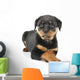 Little Rottweiler puppy dog lies down Wall Decal
