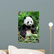 Wild panda Wall Mural