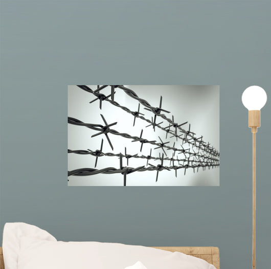 Perspective New Barbed Wire