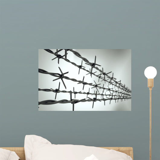 Perspective New Barbed Wire