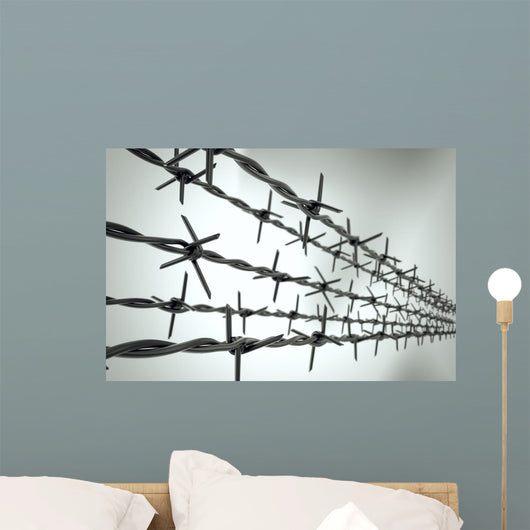 Perspective New Barbed Wire