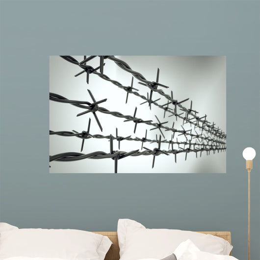 Perspective New Barbed Wire