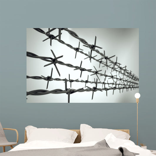 Perspective New Barbed Wire