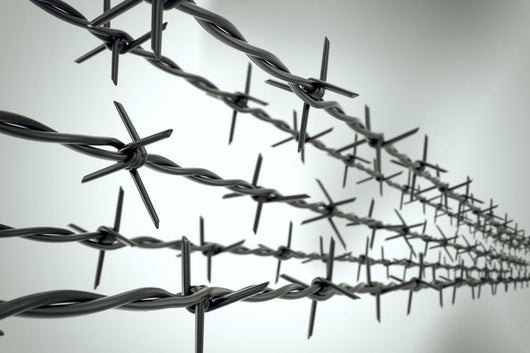 Perspective New Barbed Wire
