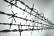 Perspective New Barbed Wire