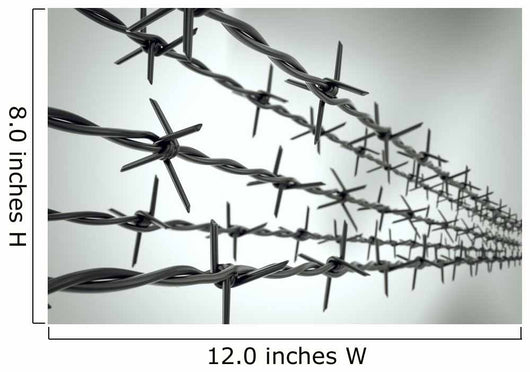 Perspective New Barbed Wire