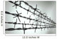 Perspective New Barbed Wire
