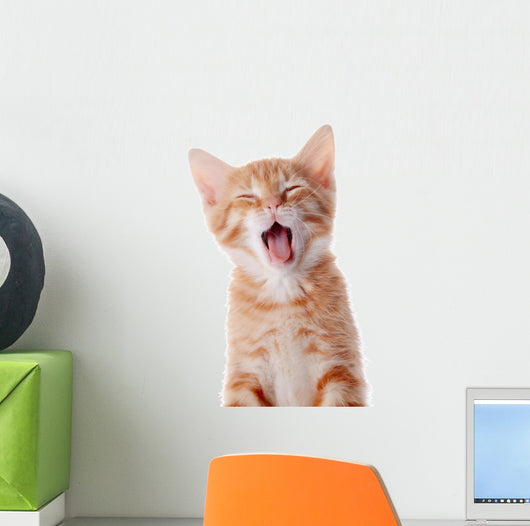 Portrait Red Yawning Kitten