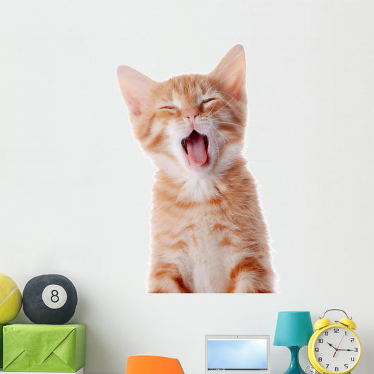 Portrait Red Yawning Kitten