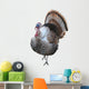 thomas turkey Wall Decal