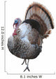 thomas turkey Wall Decal