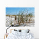 Sea Grass