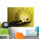 Buddhas Hand and White Hibiscus Wall Mural