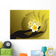 Buddhas Hand and White Hibiscus Wall Mural