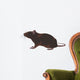rat, rodent Wall Decal