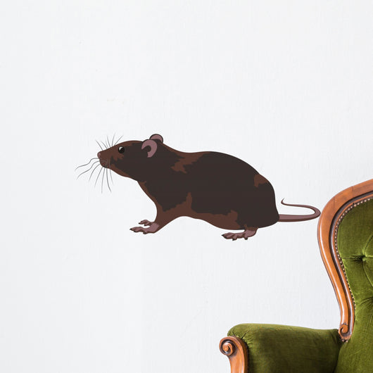 rat, rodent Wall Decal