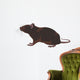 rat, rodent Wall Decal