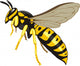 wasp Wall Decal