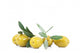 Olive 99 Wall Decal