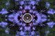 Music Speaker Kaleidoscope