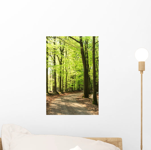 Springtime Forrest