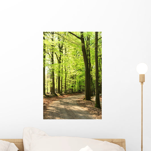 Springtime Forrest