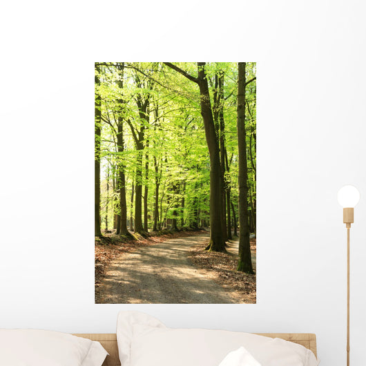 Springtime Forrest