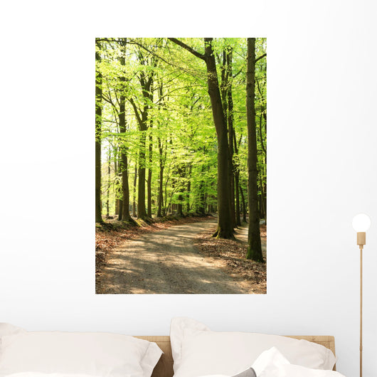 Springtime Forrest