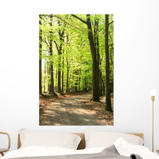 Springtime Forrest