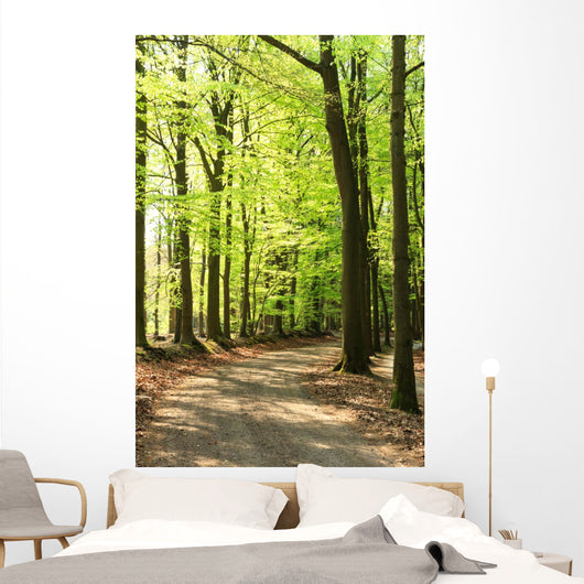 Springtime Forrest